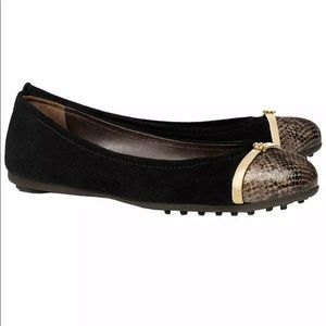 Tory Burch Suede Pacey Flats Black with Snake Print Toe Sz 10 Suede